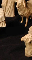 CLICK HERE for the Nativity Sheep