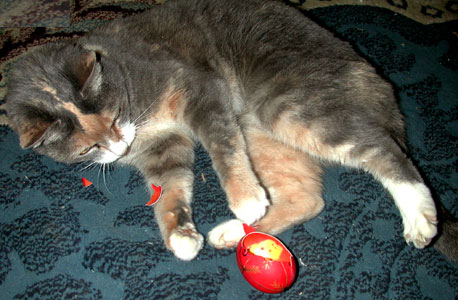 Pysanky Tutorial Preparation on http://www.allthingsukrainian.com Another one for the Catenator!