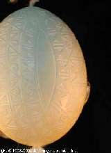  Easter Egg Pysanky UA01392 