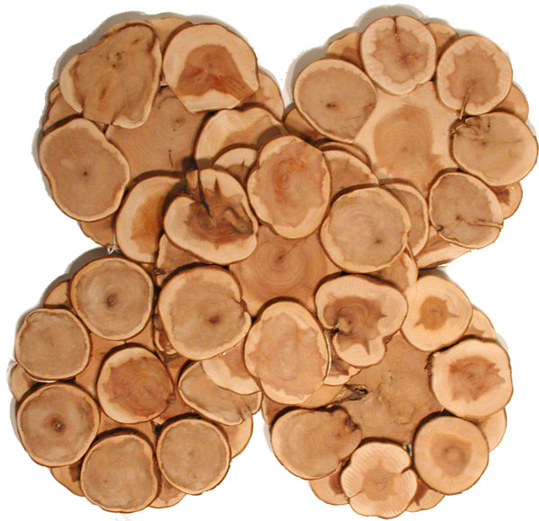   Click here to return to the Thumbnails 