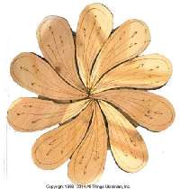  Click Here to see Card # JT1404