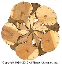  Click Here to see Card # JT1613